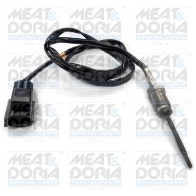 Sensor, exhaust gas temperature